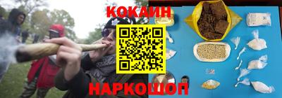 дмт Кингисепп
