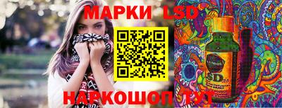 дмт Кингисепп