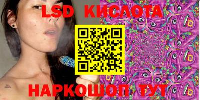 дмт Кингисепп
