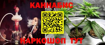 дмт Кингисепп